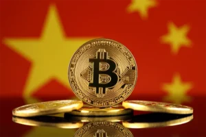 Read more about the article Discovering Biitland.com: A Groundbreaking Hub for Digital Assets